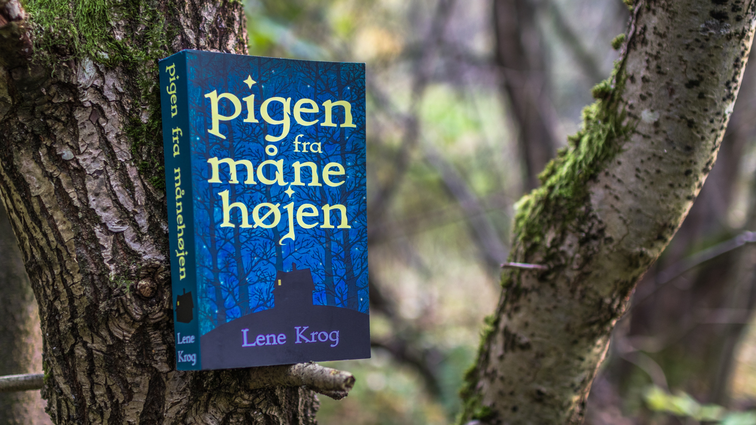 The book Pigen fra Månehøjen on a tree branch