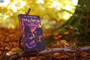 På en gren tæt ved skovbunden står første bog i Harry Potter-serien; Harry Potter and the Philosopher's Stone.