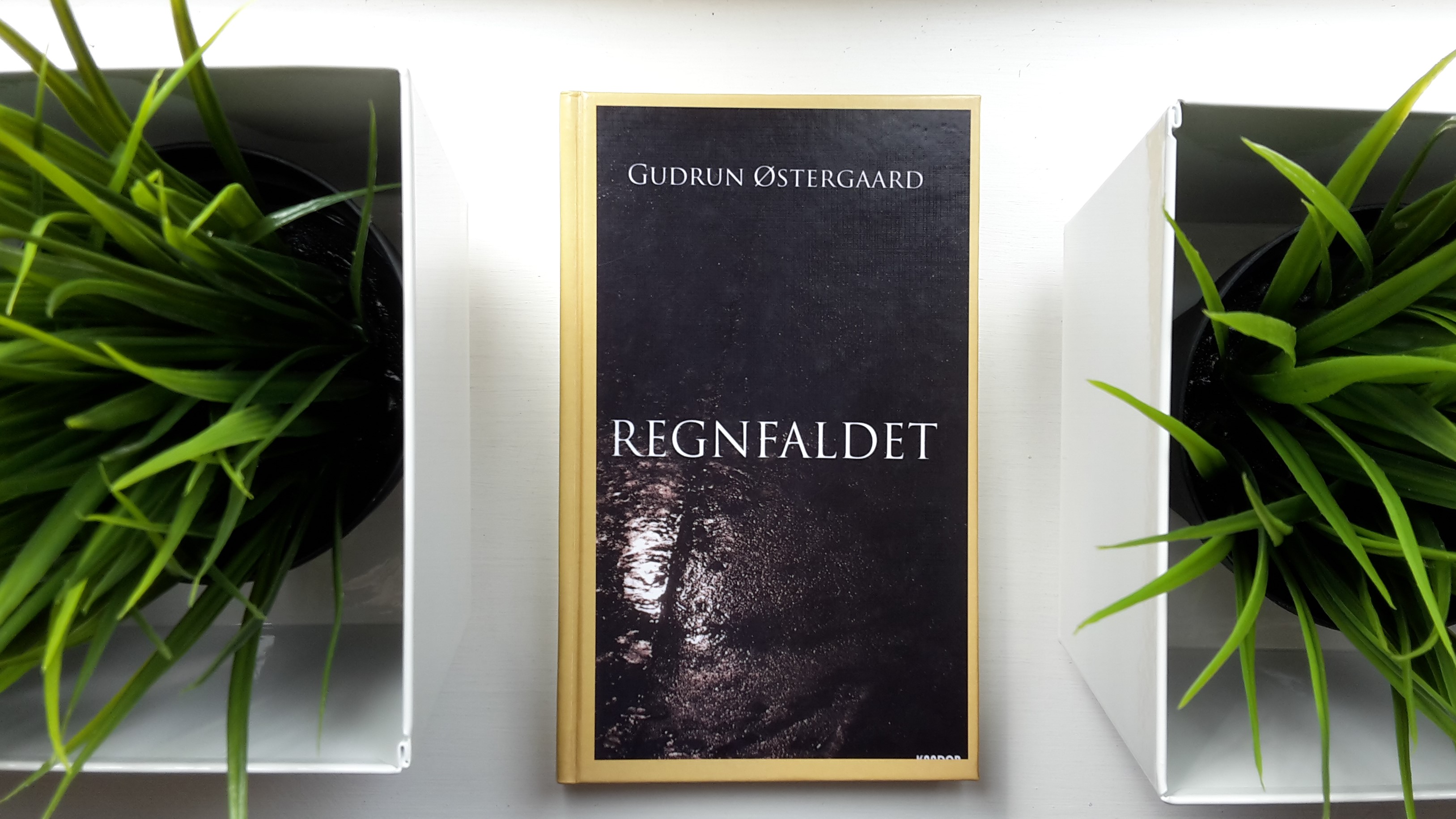The Book Regnfaldet (in English: The Rainfall) is lying between green plants