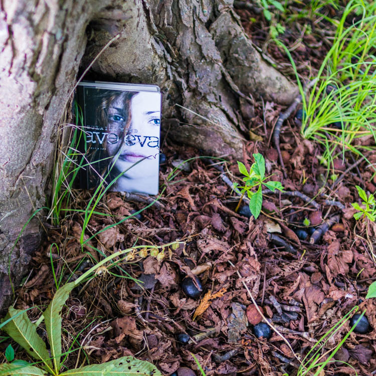 The book Ave Eva is placed a the bottom of a tree trunk in a pile of dead autumn leaves