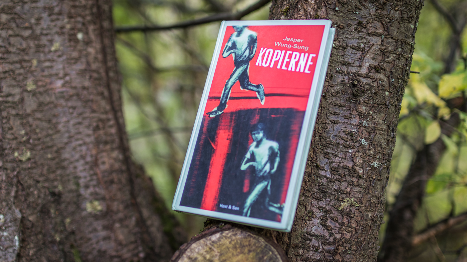 The Danish book "Kopierne" in a tree.