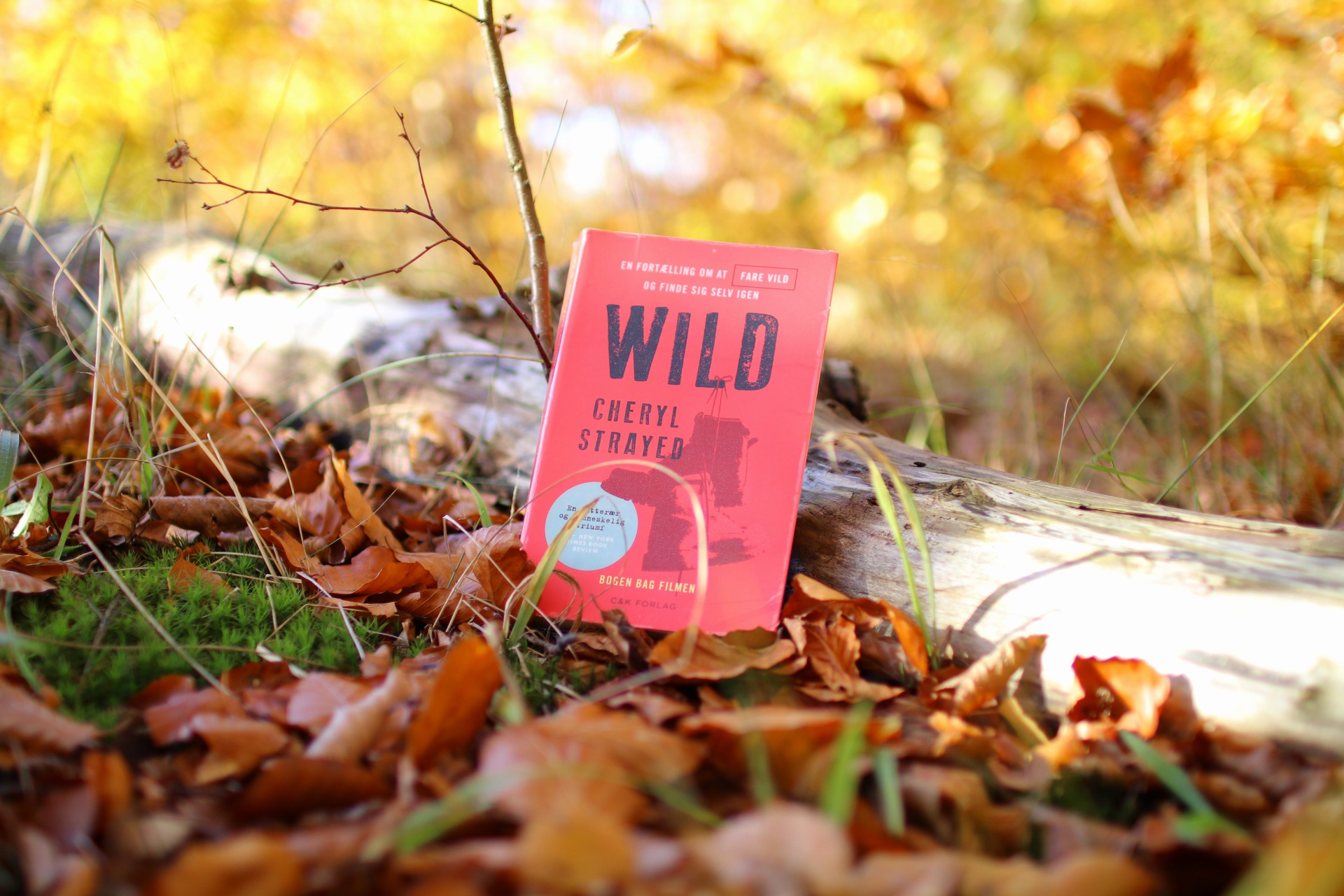 Bogen Wild af Cheryl Strayed står lænet op ad en træstamme i skovbunden. Skovbunden er dækket af brune efterårsblade og baggrunden er lys og gullig.